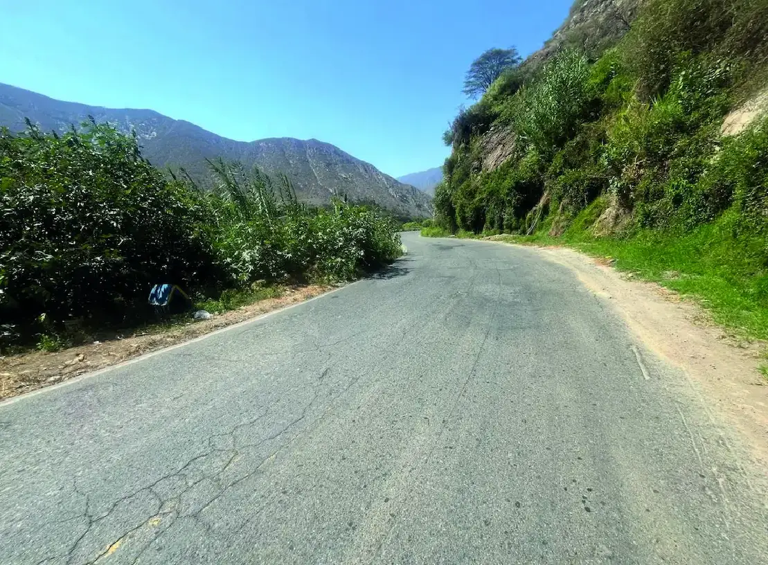 Carretera afirmada entre vegetación en el tramo Casma – Huaraz, Áncash